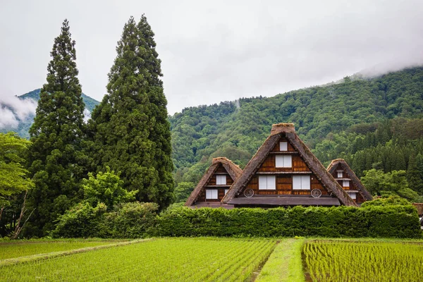 Village Japonais Traditionnel Historique Shirakawago Dans Préfecture Gifu Japon Gokayama — Photo