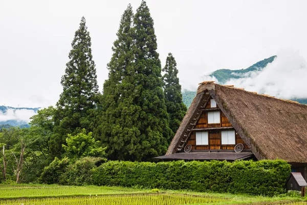 Village Japonais Traditionnel Historique Shirakawago Dans Préfecture Gifu Japon Gokayama — Photo