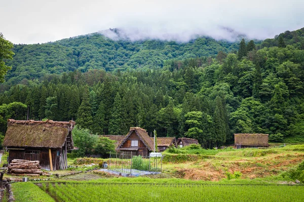 Village Japonais Traditionnel Historique Shirakawago Dans Préfecture Gifu Japon Gokayama — Photo