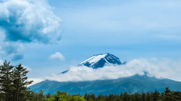 Fresh Green Forest Beautiful View Fuji Snow Blue Sky Summer — Stock Photo, Image