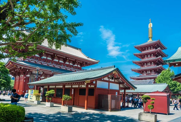 Asakusa Tokyo Japan Juni 2018 Schöner Malerischer Asakusa Schrein Wahrzeichen — Stockfoto