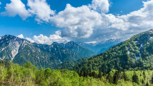 Güzel bir manzarası dışında manzara kar duvar ve Murodo yeşil ağaçtan Toyama, Japonya'da Murodo İstasyonu istasyon için ünlü turistik seyahat için alps yol Japonya.