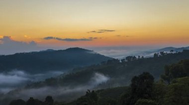 Zaman atlamalı 101 çay Ekim Doi Mae Salong adlı popüler bir turizm Chiang Rai Tayland olduğunu. Güzel manzara ile hillside plantasyon olduğunu.
