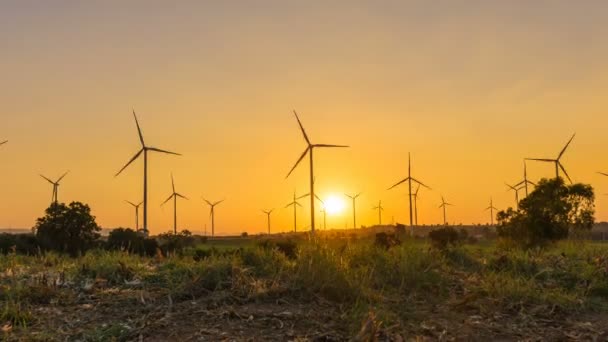 Timelapse Wind Turbine Farm Beautiful Nature Sunset Time Generating Electricity — Video