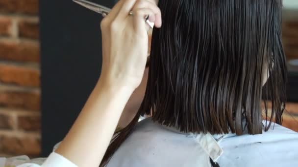 特写镜头的手的女理发师熟练的美发师为年轻的女性客户在头发工作室的发型 剪刀和梳子在造型师 — 图库视频影像