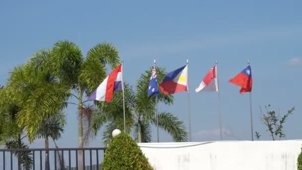 Nation Flag Waving Atop Decorated Fence Tree Blue Sky Backgrund — Stock Video