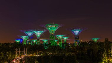 Singapur -21 Kasım 2016: Supertrees gece koyunda bahçelerde ışık gösterisi için aydınlatılmış, Singapur Landmark