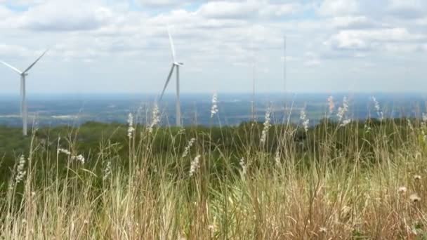 Wind Energie Turbines Het Midden Van Natuur Kloof Bomen Hemel — Stockvideo