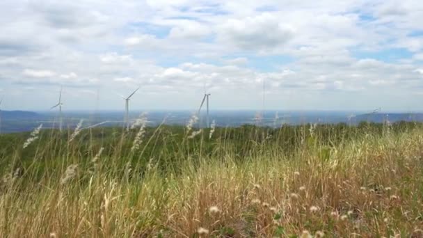 Turbinas Energía Eólica Medio Naturaleza Garganta Árboles Cielo Fondo Generador — Vídeos de Stock