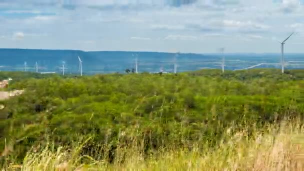 Turbinas Energía Eólica Medio Naturaleza Garganta Árboles Cielo Fondo Generador — Vídeo de stock