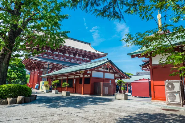 Asakusa Tokyo Japonya Haziran 2018 Güzel Doğal Asakusa Tapınak Sensoji — Stok fotoğraf