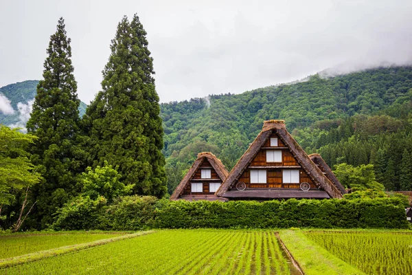 Paysage Village Japonais Traditionnel Historique Shirakawago Dans Préfecture Gifu Japon — Photo