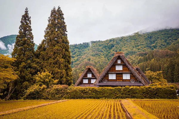 Paysage Village Japonais Traditionnel Historique Shirakawago Dans Préfecture Gifu Japon — Photo