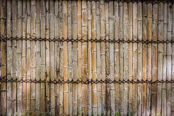 Bambus Wand Textur Hintergrund Mit Dem Seil Ist Einer Reihe — Stockfoto