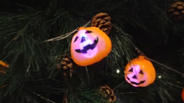 Citrouilles Personnage Avec Lumière Décorée Sur Arbre Dans Une Fête — Video