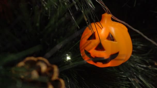 Calabazas Carácter Con Luz Decorada Árbol Una Fiesta Para Celebrar — Vídeo de stock