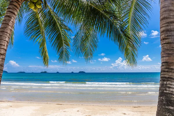 Ein Schöner Strand Mit Kokospalmen Vor Dem Meer Und Himmel — Stockfoto