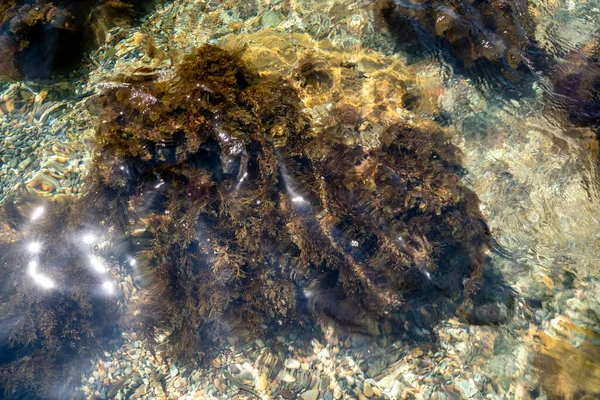 Alt kısmın dokusu. Temiz suyun altında, büyük bir taşın üzerinde algler görebilirsiniz, bir sürü küçük taş. Deniz dalgalanmaları, kayaların üzerindeki güneş ışınları.. — Stok fotoğraf