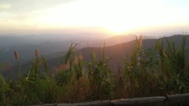 Doi Suthep 'in Doi Suthep' teki hava manzaralı parkı, Tayland, Chiangmai 'de.. 