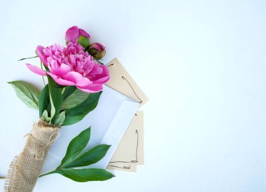 Davetiyeler ve kartpostallar için düzenleme, harfler ve tebrik kartları için boş alan. Tasarım ve yaratıcı işler için. Yukarıdan manzara. Pembe şakayık çiçeği. Beyaz bir arkaplanda .