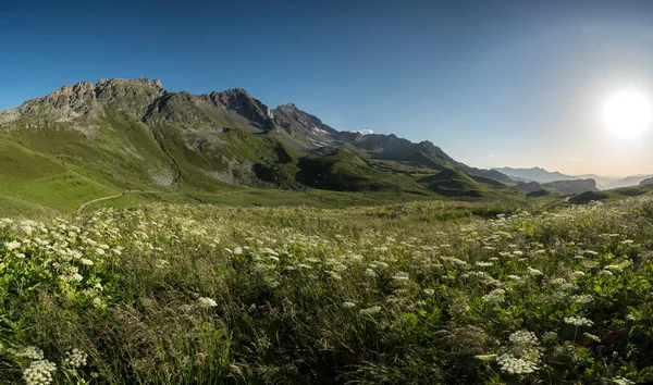 Зеленый Луг Весной Большими Горами Заднем Плане — стоковое фото