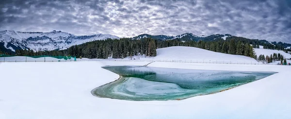 Zugefrorener See Mit Kalten Bäumen Hintergrund — Stockfoto