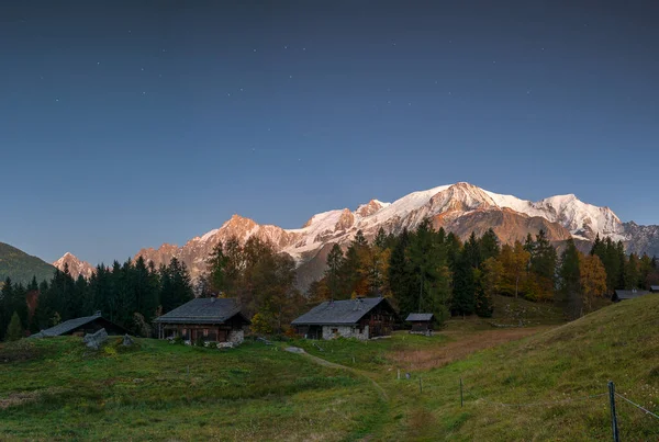 Prado Com Árvores Montanhas Nevadas Fundo Chamonix Alpes Franceses — Fotografia de Stock