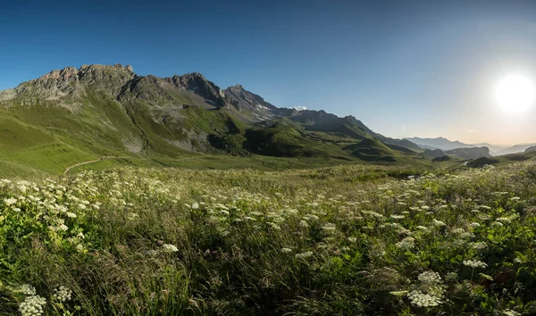 Pré Vert Printemps Avec Grandes Montagnes Sur Fond Photo De Stock