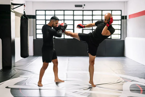Kırmızı boks eldivenli iyi konsantre antrenörüyle kickboks antrenmanı yapıyor. Spor salonunda antrenörün elini tekmeliyor.