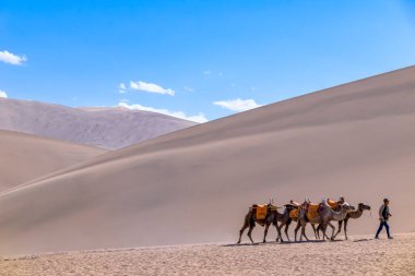 Turist grubu kum dağı Mingsha Shan çölünde deveye biniyor ya da Çin 'in Gansu kentindeki Dunhuang şehrinde İpek Yolu' nun bir parçası olarak kervanla şarkı söyleyen kum tepelerinde..