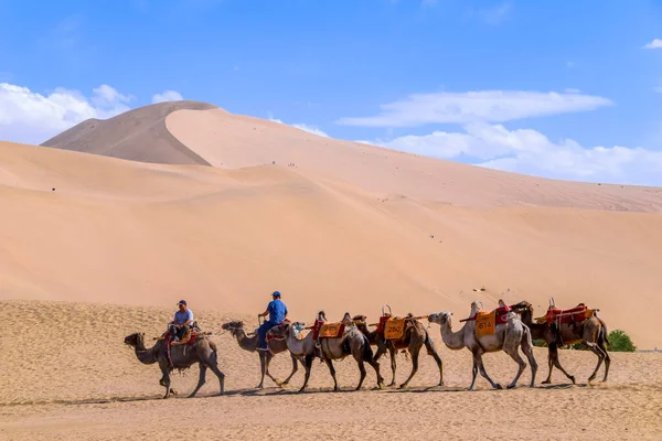 Grupo Turistas Estão Montando Camelo Montanha Areia Deserto Mingsha Shan — Fotografia de Stock