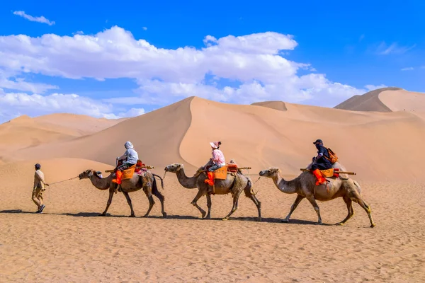 Turist grubu kum dağı Mingsha Shan çölünde deveye biniyor ya da Çin 'in Gansu kentindeki Dunhuang şehrinde İpek Yolu' nun bir parçası olarak kervanla şarkı söyleyen kum tepelerinde..