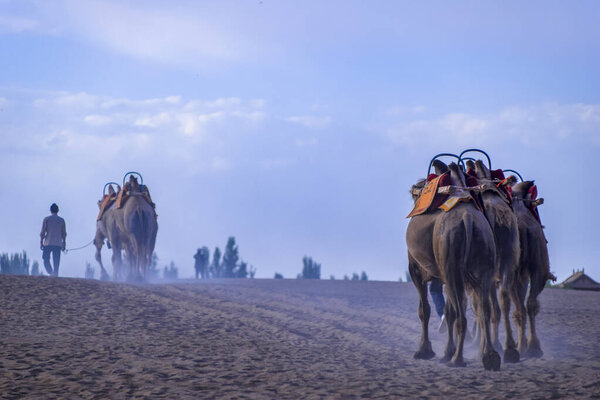 Yueyaquan Scenic Area, Mingsha Mountain, Dunhuang City, Gansu Province, China. Gansu Dunhuang Crescent Lake and Mingsha Mountain,China