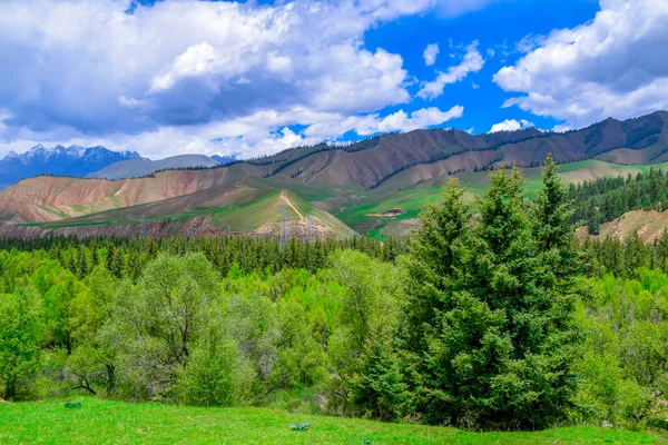 Krásná Příroda Krajina Pohled Qilian Mountain Scenic Area Mount Zhuoer — Stock fotografie