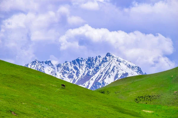 Hermosa Vista Del Paisaje Naturaleza Montaña Qilian Scenic Área Monte — Foto de Stock