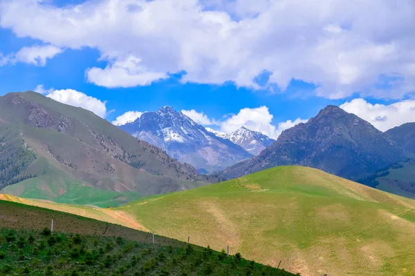 Krásná Příroda Krajina Pohled Qilian Mountain Scenic Area Mount Zhuoer — Stock fotografie