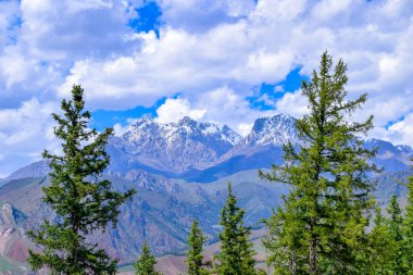 Qilian Dağı 'nın Zhuoer Dağı manzarası. Qilian, Haibei, Qinghai, Çin' de ünlü bir manzara..