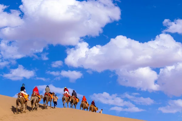 Turist grubu kum dağı Mingsha Shan çölünde deveye biniyor ya da Çin 'in Gansu kentindeki Dunhuang şehrinde İpek Yolu' nun bir parçası olarak kervanla şarkı söyleyen kum tepelerinde..