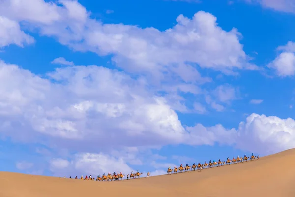 Turist grubu kum dağı Mingsha Shan çölünde deveye biniyor ya da Çin 'in Gansu kentindeki Dunhuang şehrinde İpek Yolu' nun bir parçası olarak kervanla şarkı söyleyen kum tepelerinde..