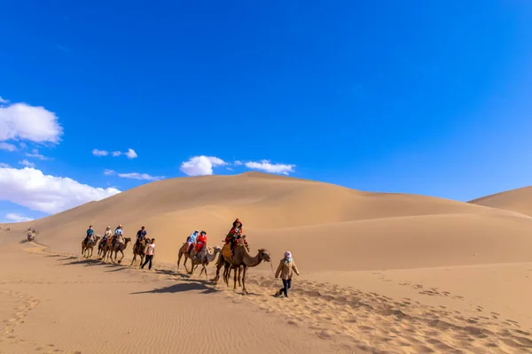 Turist grubu kum dağı Mingsha Shan çölünde deveye biniyor ya da Çin 'in Gansu kentindeki Dunhuang şehrinde İpek Yolu' nun bir parçası olarak kervanla şarkı söyleyen kum tepelerinde..