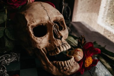 Masada çiçekli bir kafatası.. 