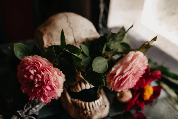 Teschio Con Una Rosa Fiore Sul Tavolo Fotografia Stock