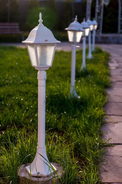 Lights Lawn Shines Decorative Light Lanterns Path Garden Design Backyard — Stock Photo, Image