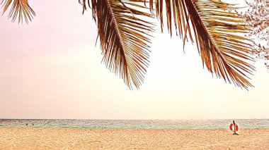 İllüzyon. Palmiye ağacının altında tropikal, boş bir sahil. Tropikal arka plan. Yeşil palmiye, plaj bayrağı için denizden ayrılıyor. Yazarın yeri. Yazı veya logo için geniş arkaplan alanı