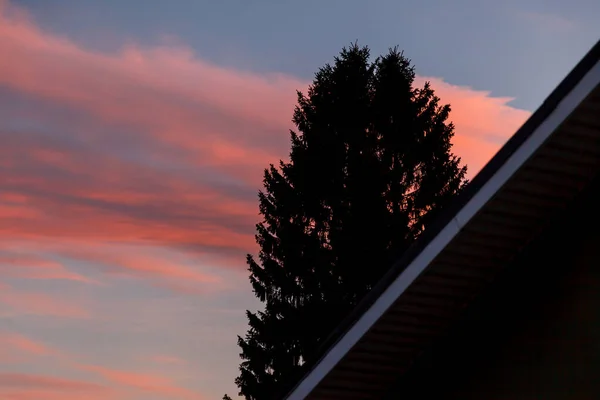 Takhus Och Topp Träd Mot Bakgrund Solnedgång Kväll Blå Himmel — Stockfoto