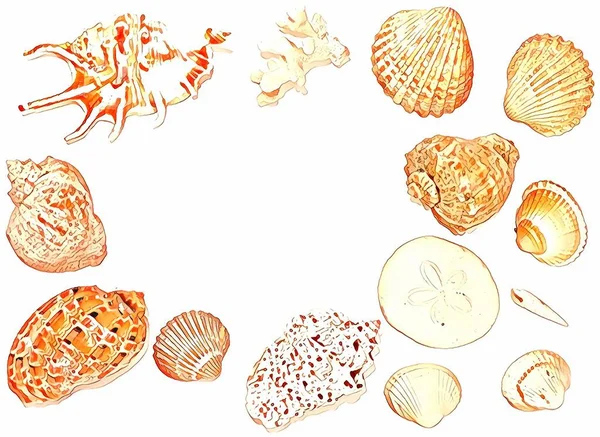 Ilustrace Seashell Těsně Nad Rámem Různé Zvířecí Skořápky Izolované Bílém — Stock fotografie