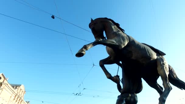Horse Tamer Sculpture Anichkov Bridge Created 1851 Unique Urban Landscape — Stock Video