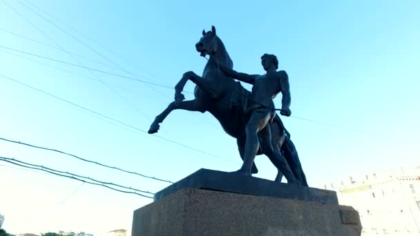 Horse Tamer Sculpture Anichkov Bridge Created 1851 Unique Urban Landscape — Stock Video