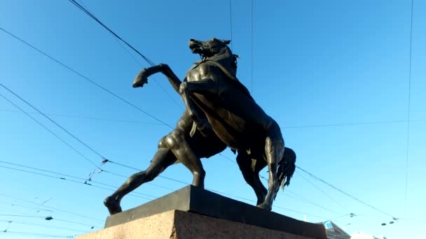 Pferdezähmer Skulptur Der Anichkov Brücke Erstellt 1851 Einzigartige Stadtlandschaft Zentrum — Stockvideo