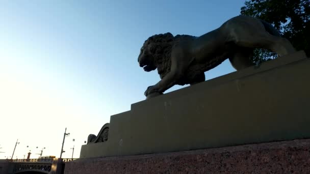 Löwenstatue Der Nähe Der Palastbrücke Weiße Nacht Einzigartige Stadtlandschaft Zentrum — Stockvideo